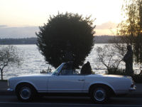 New 230 SL Whit blue 043t.jpg